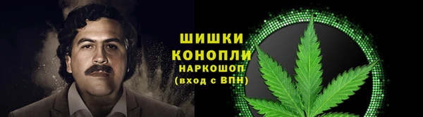 амф Арсеньев
